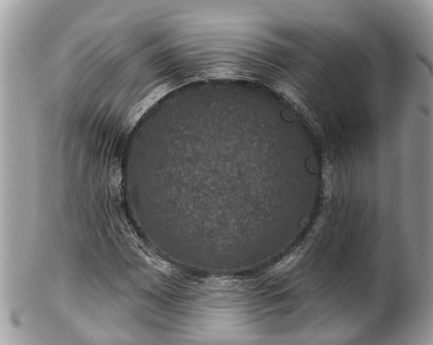 X0000102041065200807251409