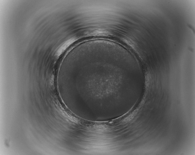 X0000102041066200807251409