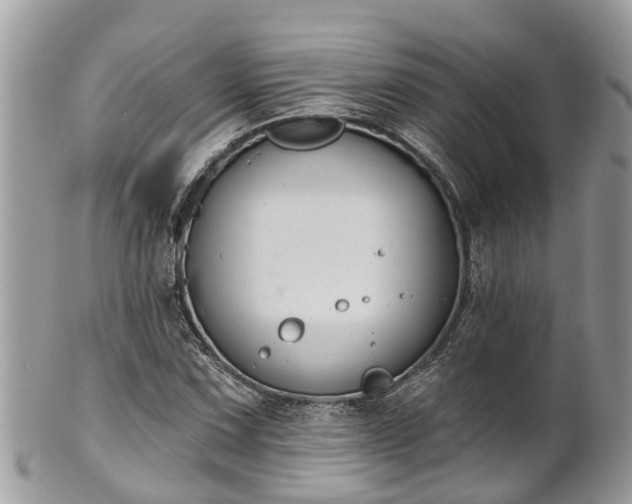 X0000102041067200807251409