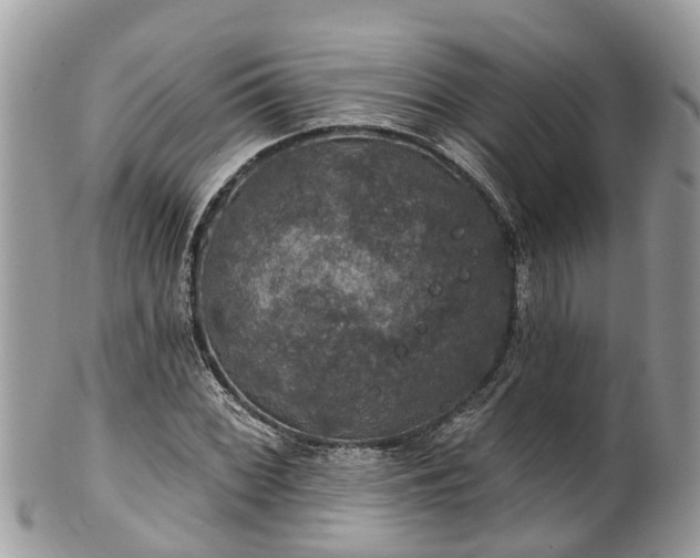 X0000102041068200807251409