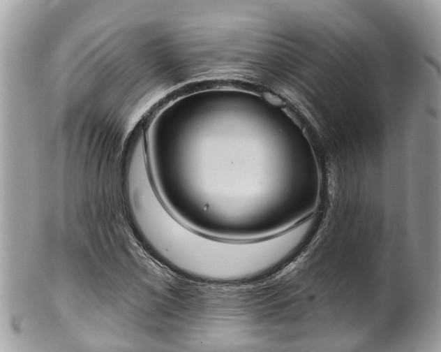 X0000102041069200807251409