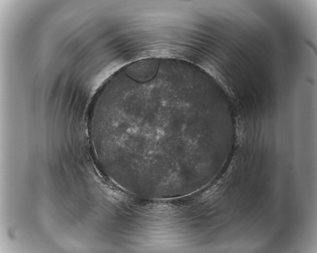 X0000102041070200807251409