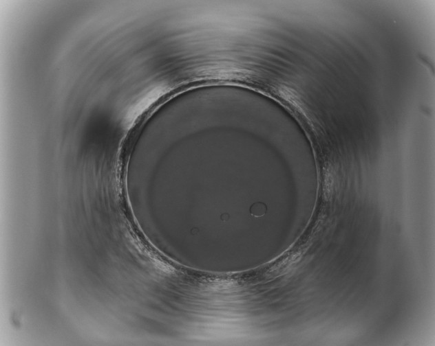 X0000102041071200807251409