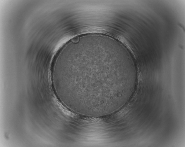 X0000102041072200807251409