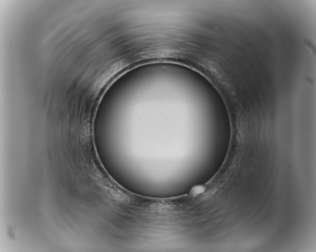 X0000102041073200807251409