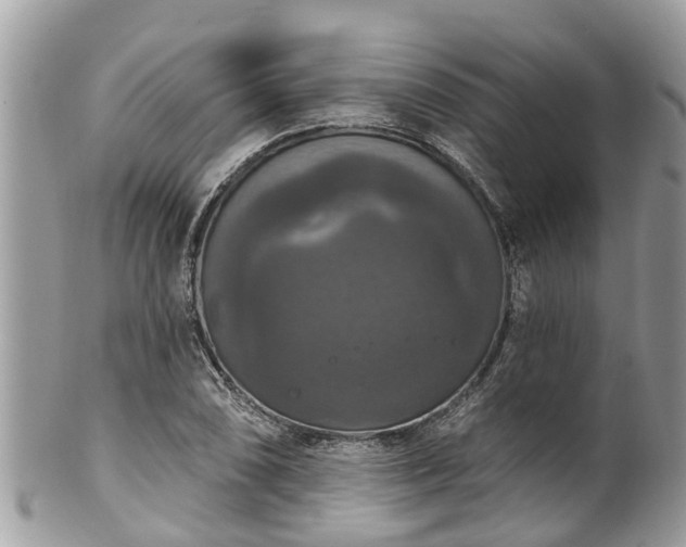 X0000102041074200807251409