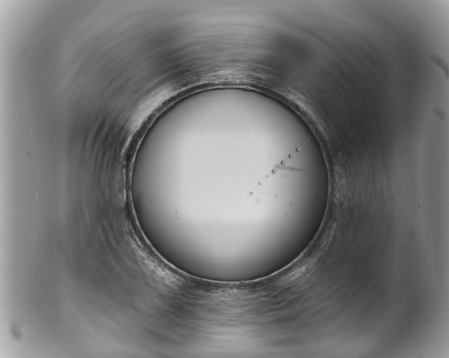 X0000102041075200807251409