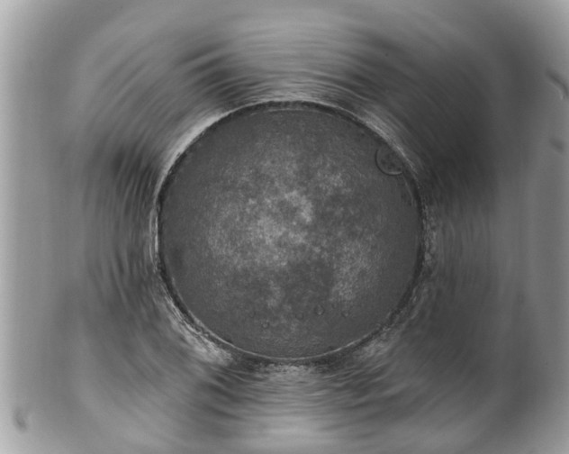 X0000102041076200807251409