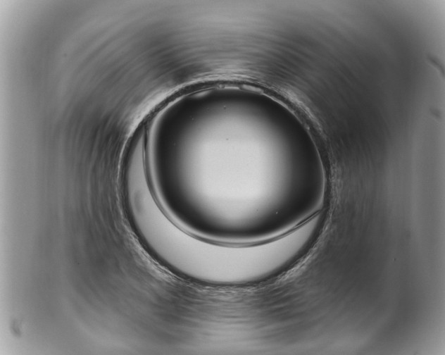 X0000102041077200807251409