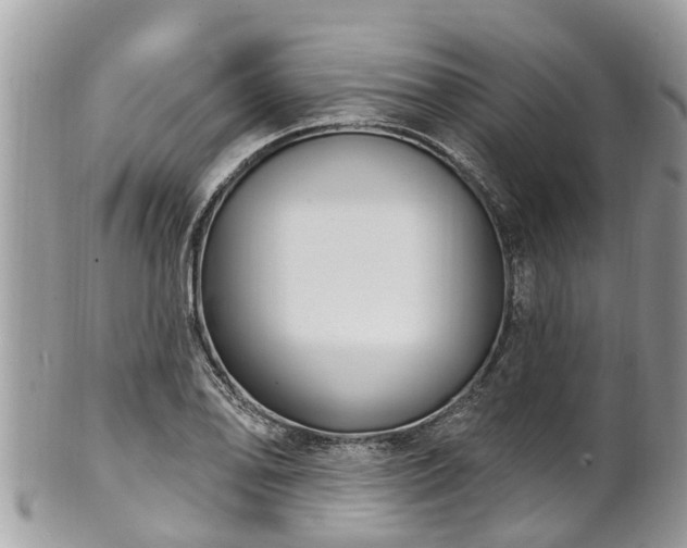 X0000102041078200807251409