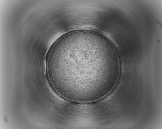 X0000102041079200807251409