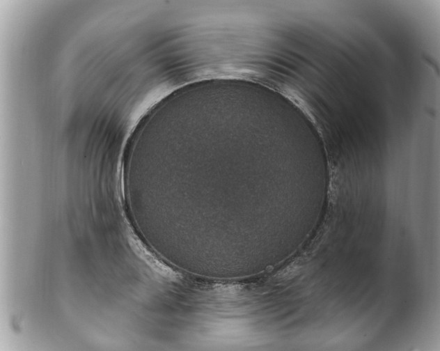 X0000102041080200807251409