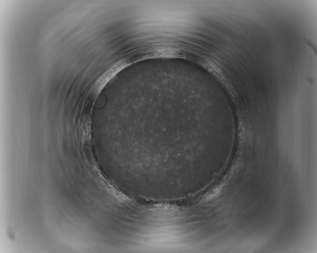 X0000102041081200807251409