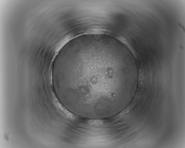 X0000102041083200807251409