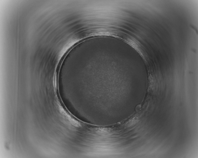 X0000102041084200807251409