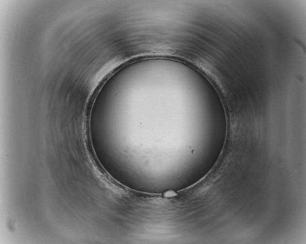 X0000102041085200807251409