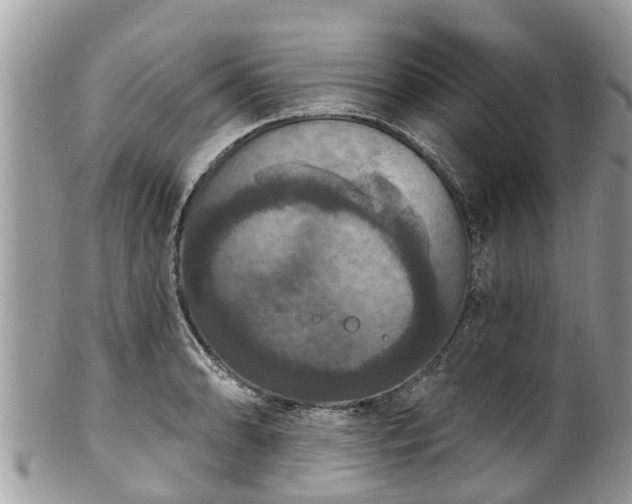 X0000102041086200807251409