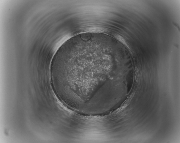 X0000102041087200807251409