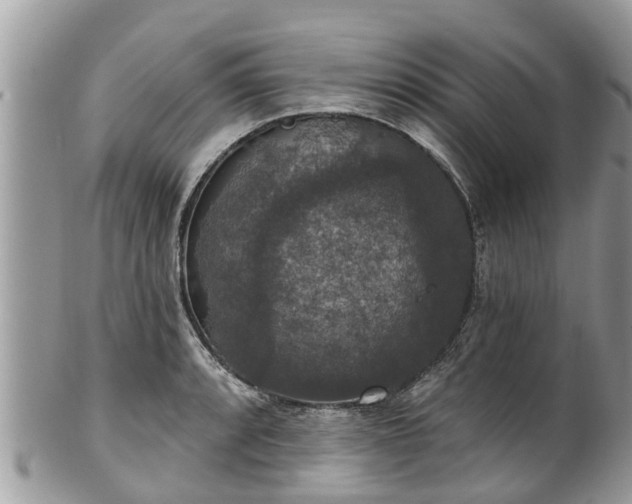 X0000102041088200807251409