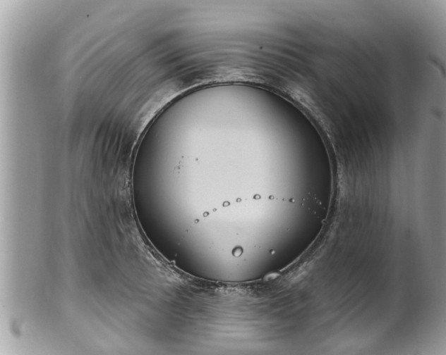 X0000102041089200807251409