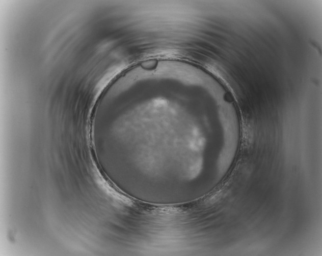 X0000102041090200807251409