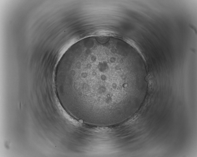 X0000102041091200807251409