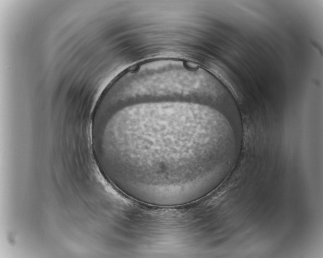 X0000102041092200807251409