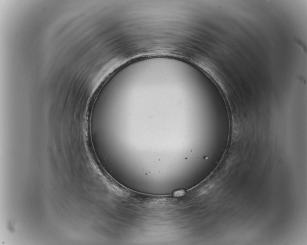 X0000102041093200807251409