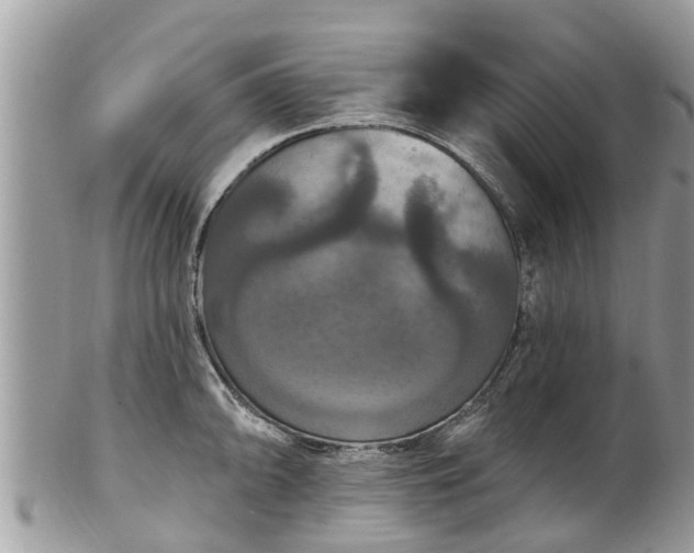 X0000102041094200807251409