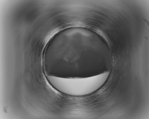 X0000102041095200807251409