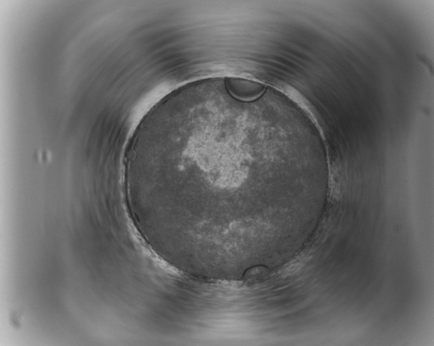 X0000102041096200807251409