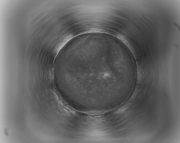 X0000102041097200807251409