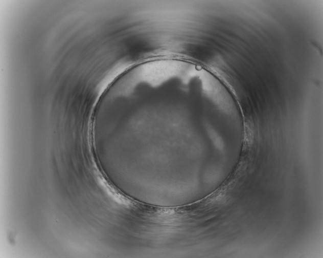 X0000102041098200807251409