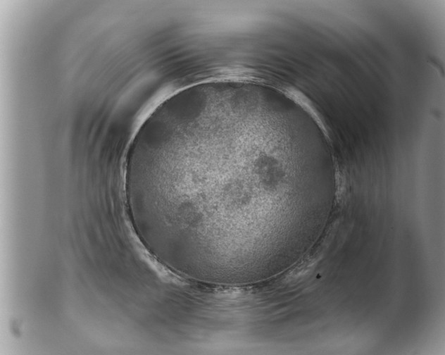 X0000102041099200807251409