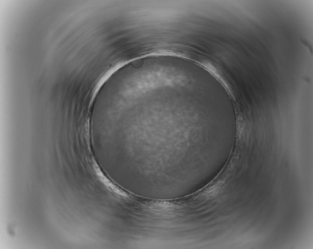 X0000102041100200807251409