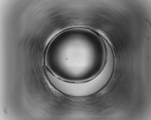 X0000102041101200807251409