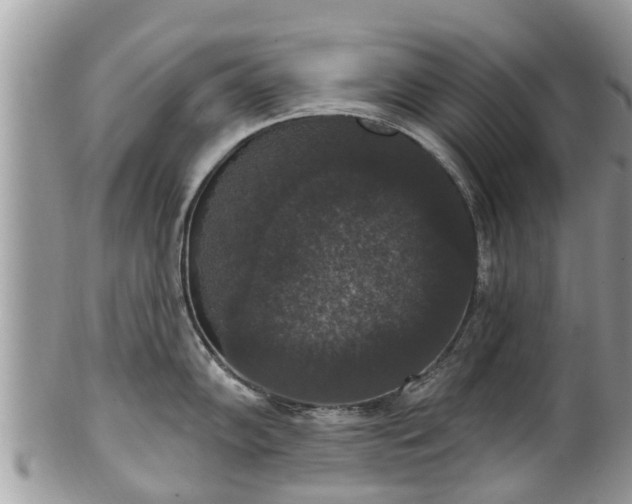 X0000102041102200807251409