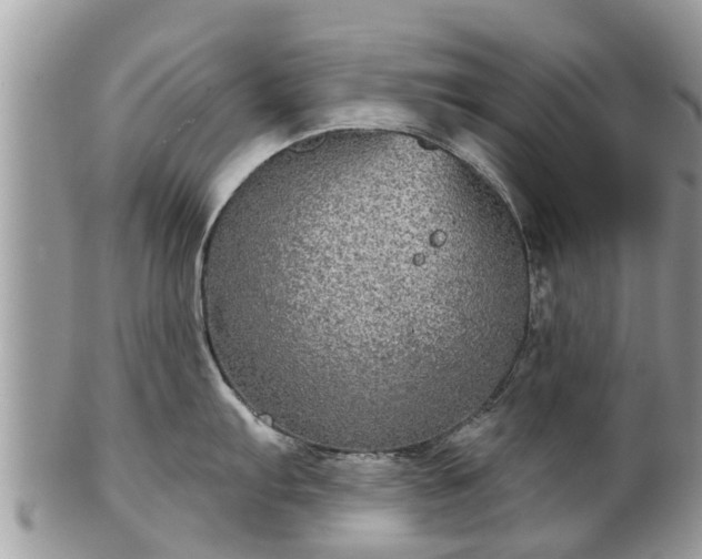 X0000102041103200807251409