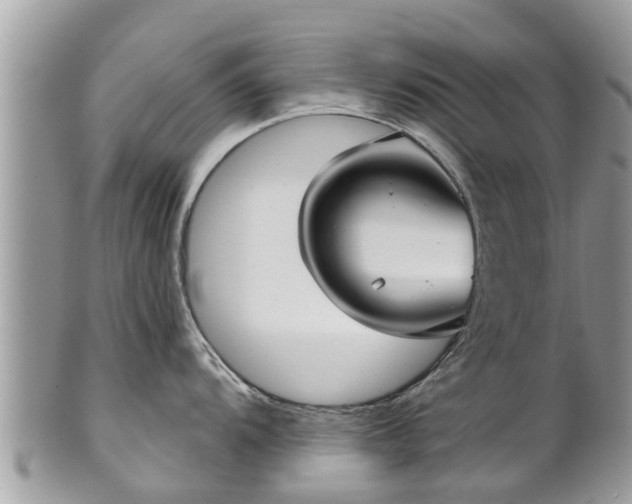 X0000102041104200807251409