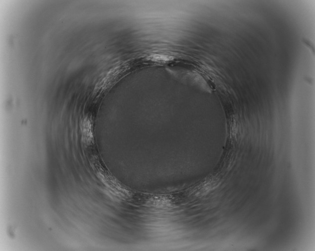 X0000102041106200807251408