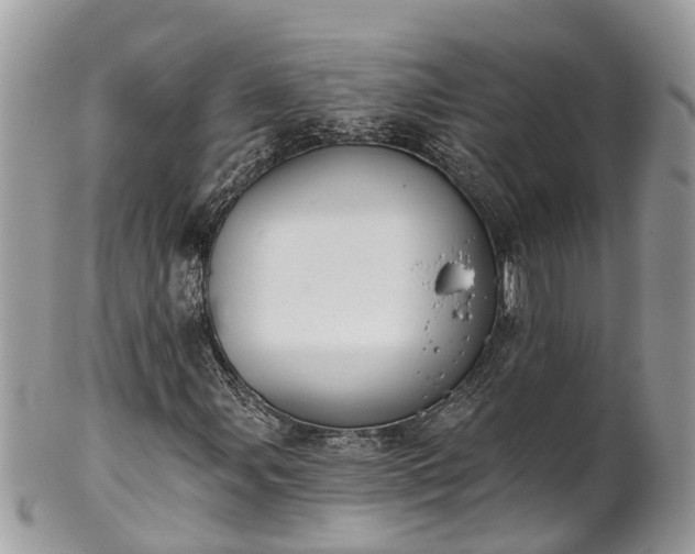 X0000102041107200807251408