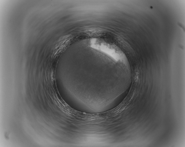 X0000102041108200807251408