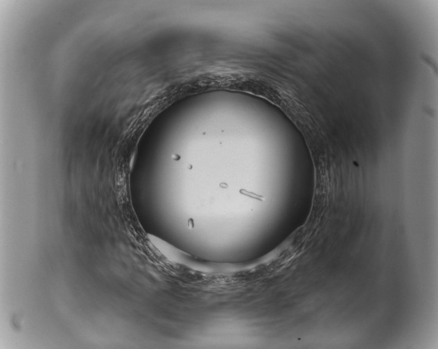 X0000102041109200807251408