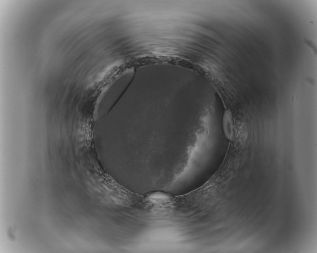 X0000102041110200807251408