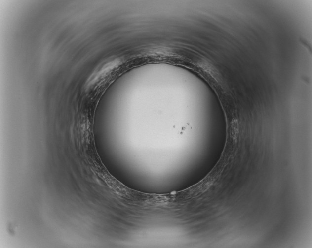 X0000102041111200807251408