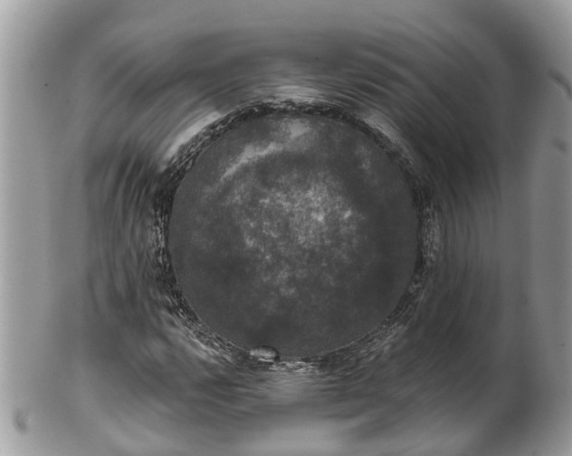 X0000102041112200807251408