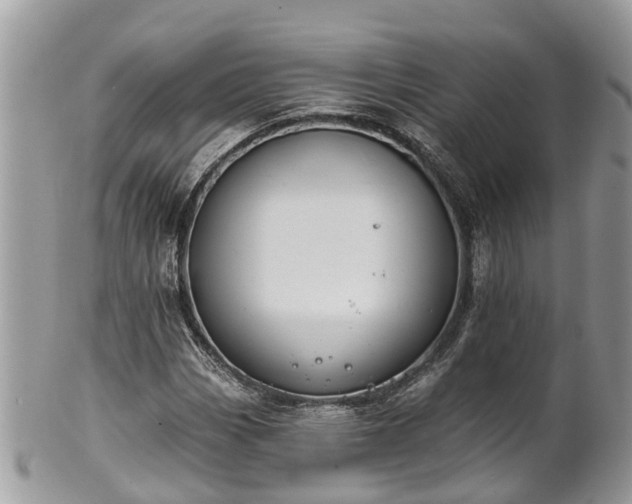 X0000102041113200807251408