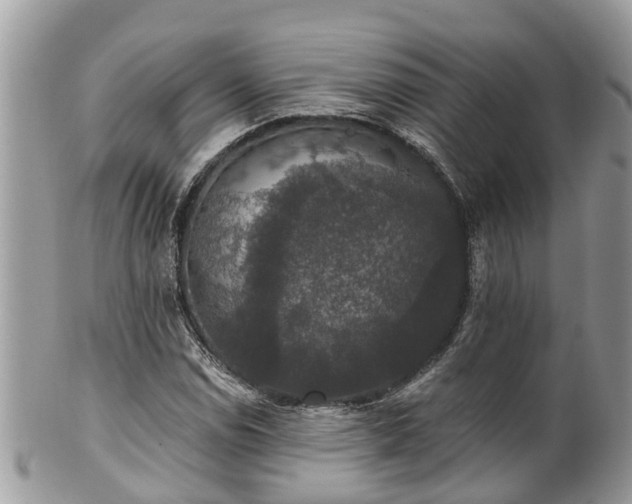 X0000102041114200807251408