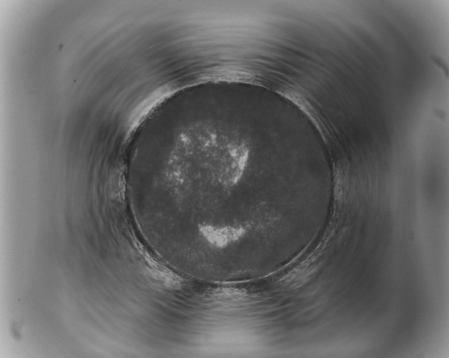 X0000102041115200807251408