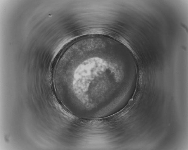 X0000102041116200807251408